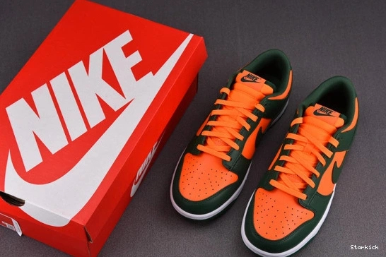 Nike Low DD1391-300 Dunk Hurricanes Miami 1027